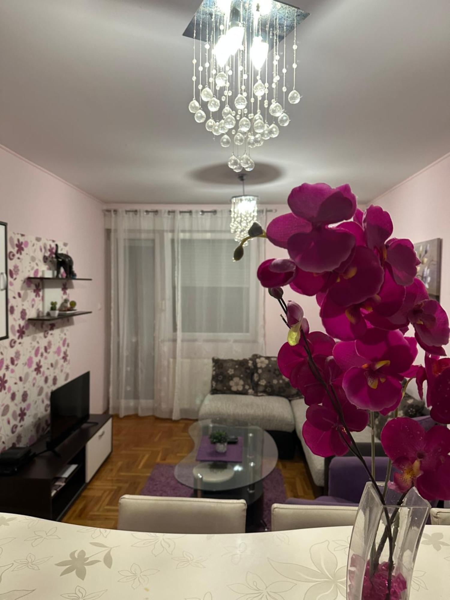 Apartman Ivana Apartment Novi Sad Bagian luar foto
