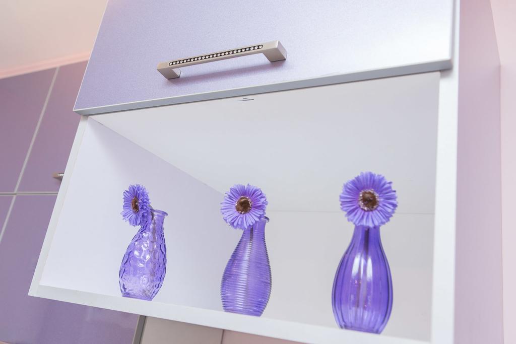 Apartman Ivana Apartment Novi Sad Bagian luar foto