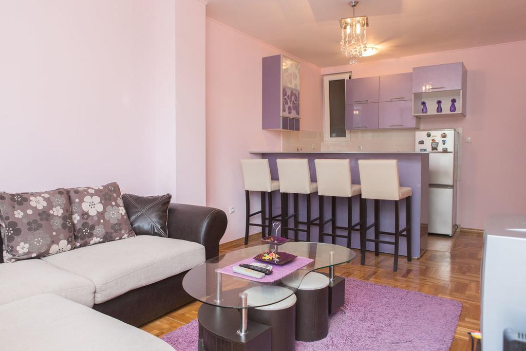 Apartman Ivana Apartment Novi Sad Bagian luar foto