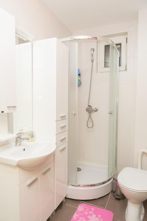 Apartman Ivana Apartment Novi Sad Bagian luar foto
