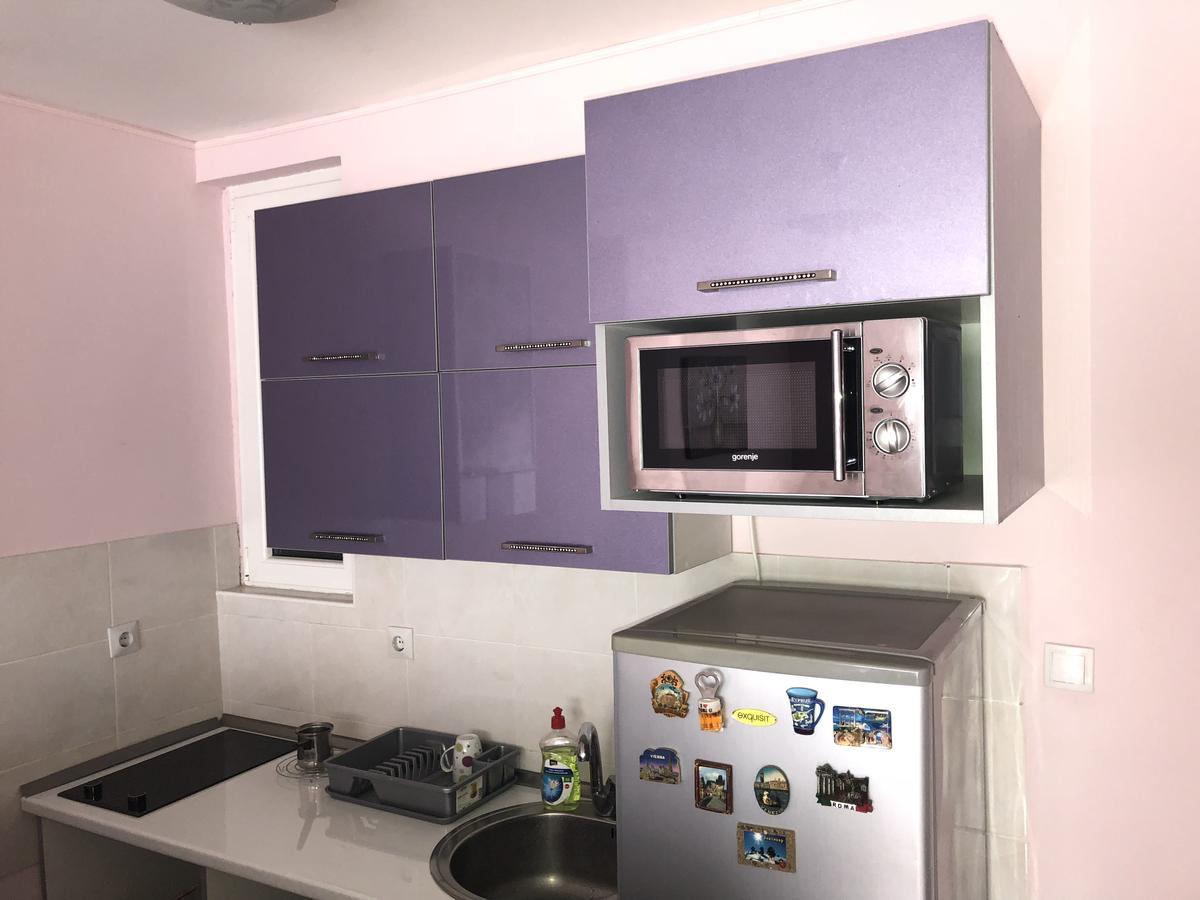 Apartman Ivana Apartment Novi Sad Bagian luar foto