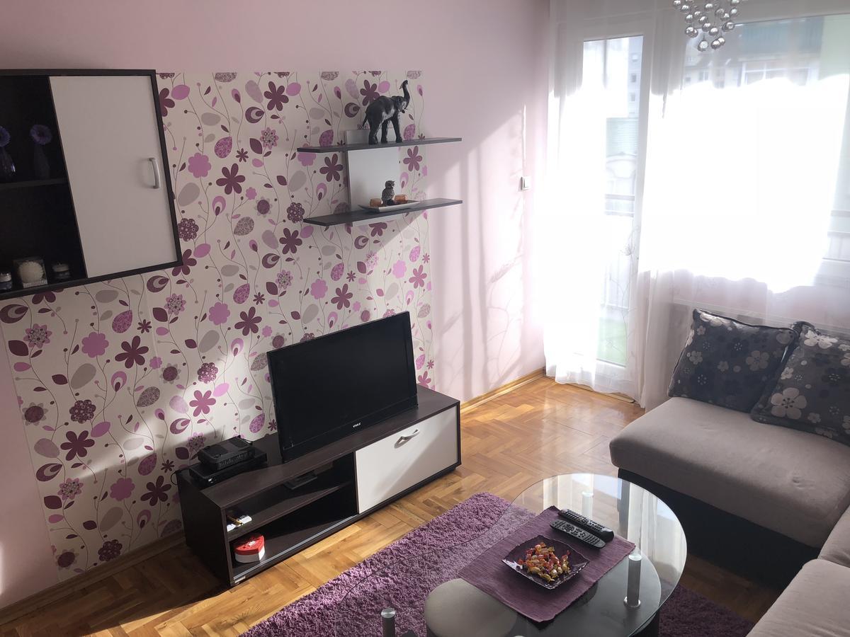 Apartman Ivana Apartment Novi Sad Bagian luar foto
