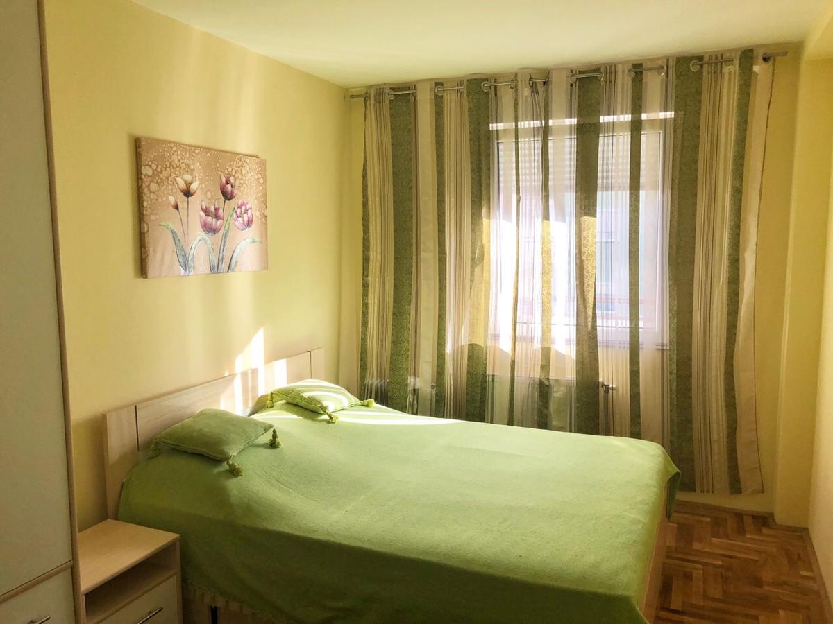 Apartman Ivana Apartment Novi Sad Bagian luar foto