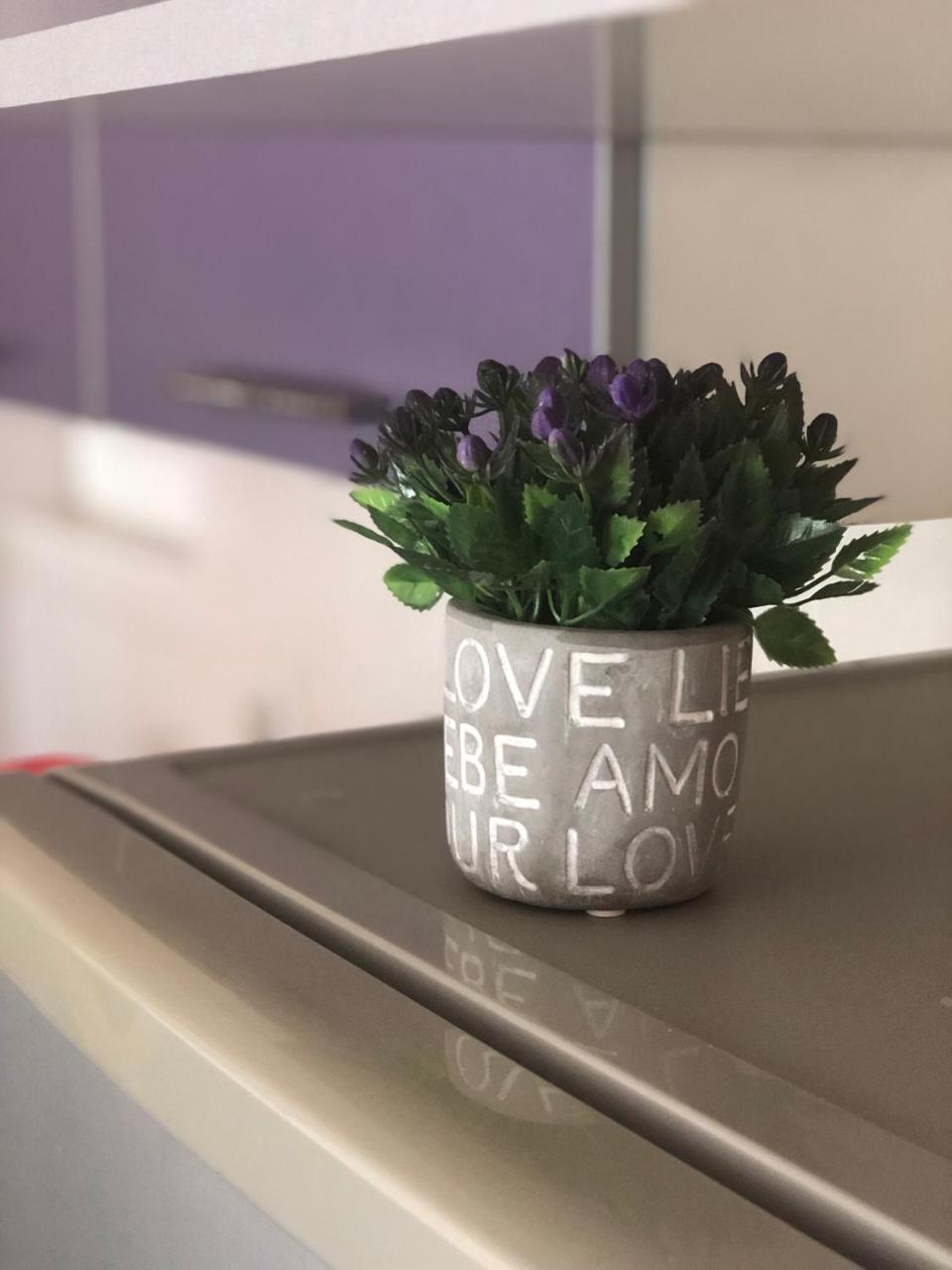 Apartman Ivana Apartment Novi Sad Bagian luar foto